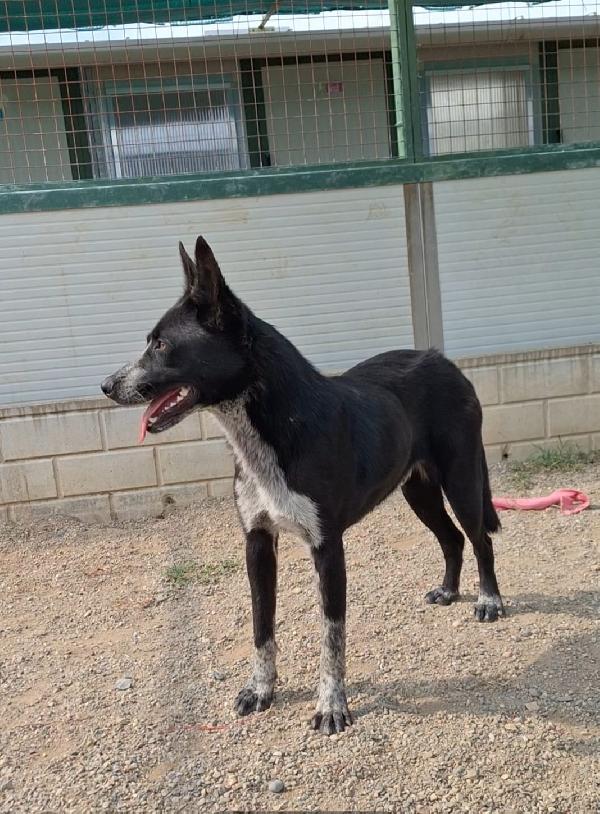 Valzer vi attende per ballare tutta la vita con lui Foto 3